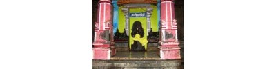 065. திருகடம்பந்துறை